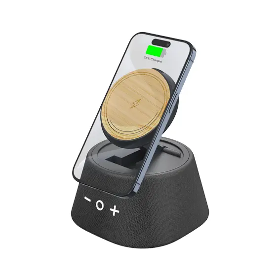 SBT55 - SPEAKER M51W -Black